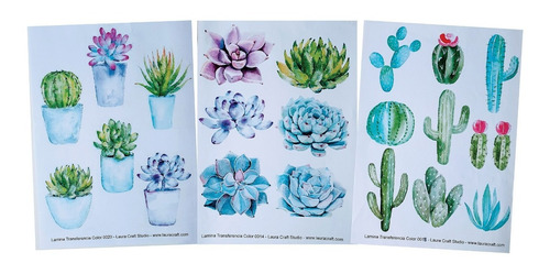 Transferencia Color Set Suculentas Y Cactus Laura Craft