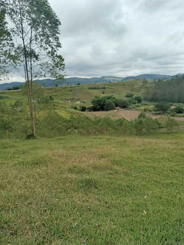 Imagem 5 de 14 de A26- Venha Já Garantir Seu Sonho