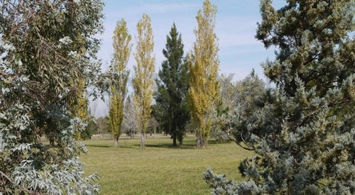 Imagen 3 de 16 de Lote En Venta, Miralagos I- Nº 173 Unificado , Vista Al Golf,cul De Sac.2670 Mts