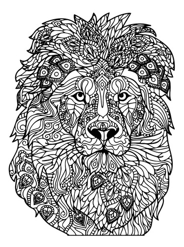 León Mandala 80x60 Para Pintar Canvas Cuadro Decorativo | Meses sin  intereses