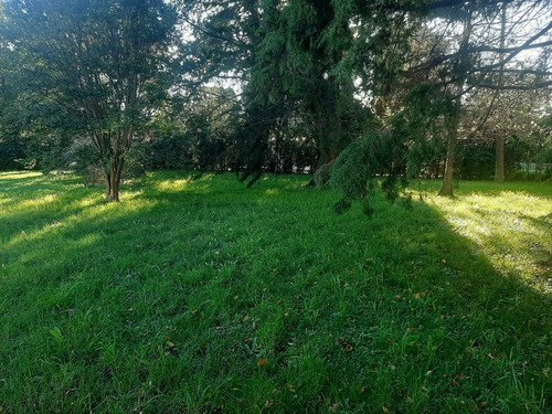 Alquiler Comercial - Quinta En Canning