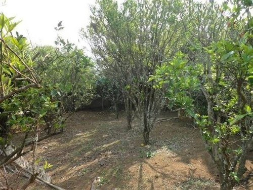 Imagem 22 de 27 de Chácara Em Vila Dom Pedro, Atibaia/sp De 1320m² 2 Quartos À Venda Por R$ 650.000,00 - Ch1367145-s