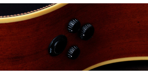 Violão Rozini Rx 215.re2.f.lp P.brasil Auditório Atv Fosco Cor Marrom-escuro