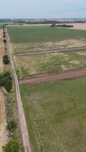 Venta Lote Las Margaritas