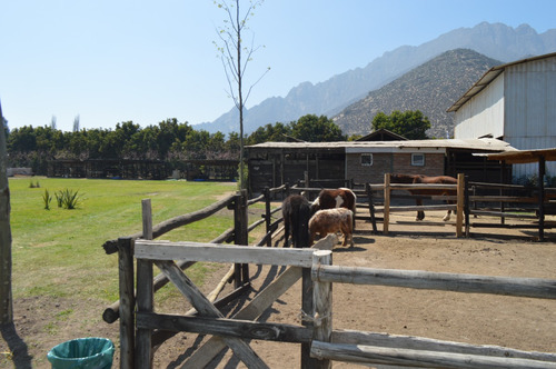 Parcela Con Pesebreras Y Bodega - Palomar, Panquehue