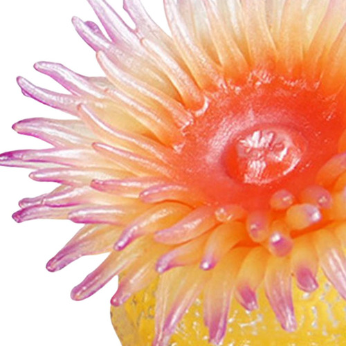 2 Sea Life Sea Anemone Party Favor Tank Amarillo