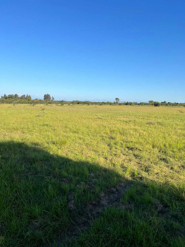 Se Vende Parcela De 5.000 Mt2 Cerca De Parral (126604)