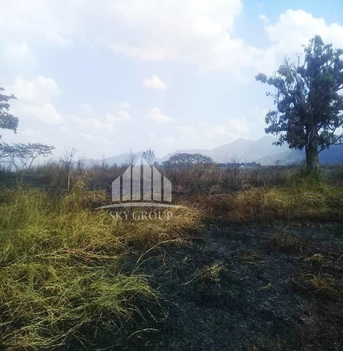 Imagen 8 de 11 de Leal Pérez Vende Finca En Bejuma