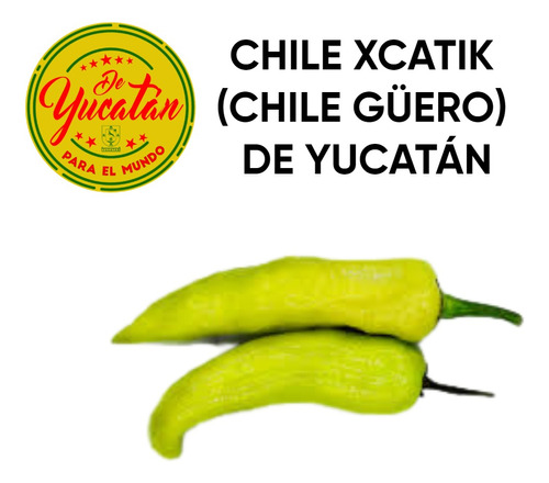 1kg Chile Xcatik Yucateco (chile Güero) 