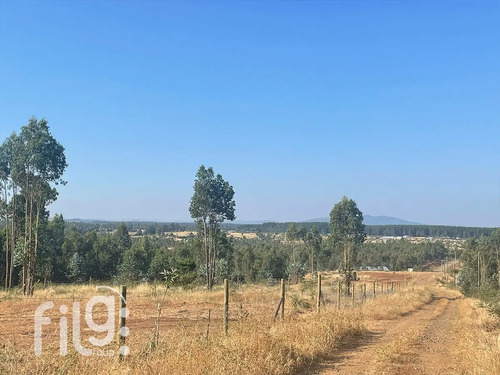 Venta De Terreno En San Nicolás Naturaleza Y Tranquilidad