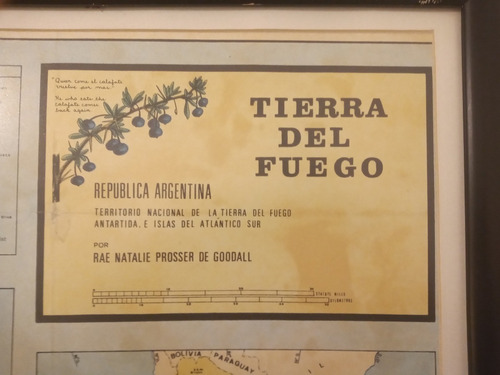 Mapas Antiguo Ta Del Fuego X Rae Natalie Prosser