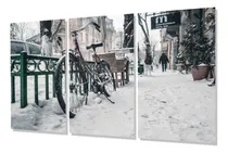 Comprar Cuadro Trip 40x60 Bicicleta Transporte Invierno Winter  P4