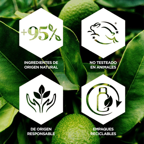 Toallitas Desmaquillantes, Extracto De Té 30 Ud, Burt's Bees