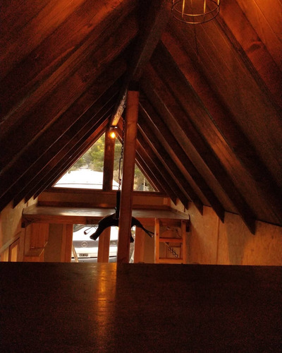 Imagen 2 de 14 de Mini Casa Tiny House