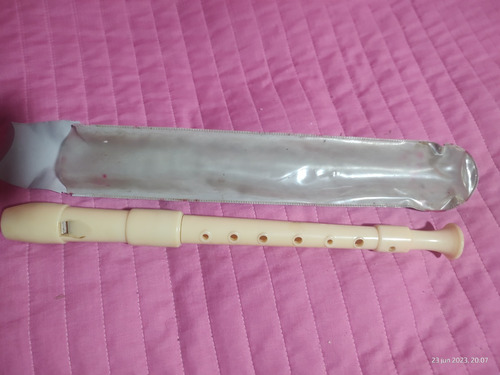 Flauta Dulce Escolar Antigua, Con Estuche Original