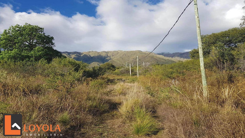 Imagen 15 de 30 de Carpintería, Lotes De 5000 M2