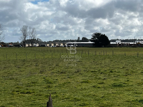 Parcela Puerto Octay Circuito Lago Llanquihue