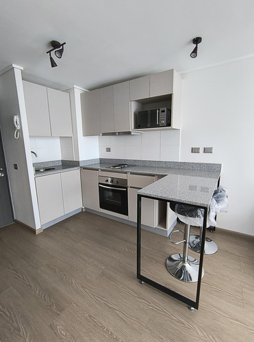 Arriendo Departamento 1d-1b-1b, Edificio Maipú, Centro De C