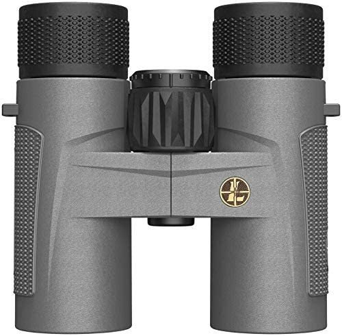 Binoculares Leupold Bx-4 Pro Guide Hd 8x32mm -gris