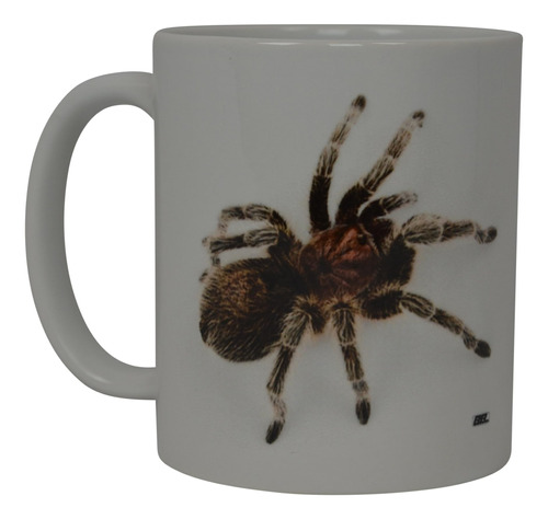 Divertida Taza De Café Scary Spider Rose Tarántula Realista 