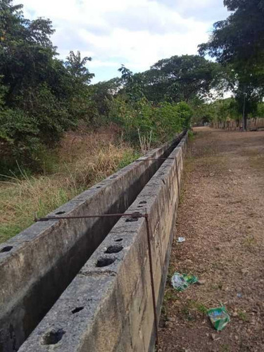 Imagen 10 de 14 de Finca 303 Hectáreas En Guárico, Vía Santa Rita.