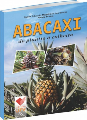 Abacaxi Do Plantio À Colheita