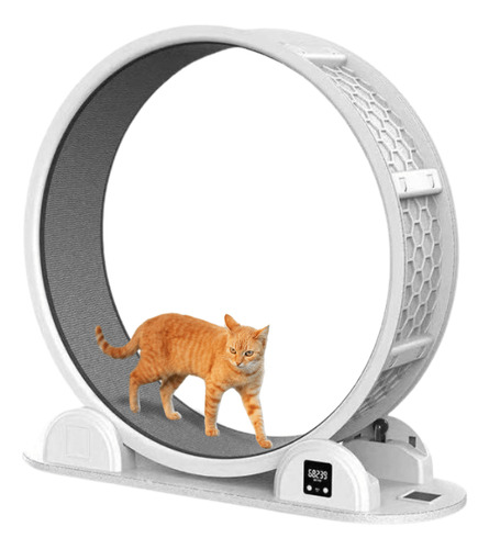 Rueda Caminadora Para Gato
