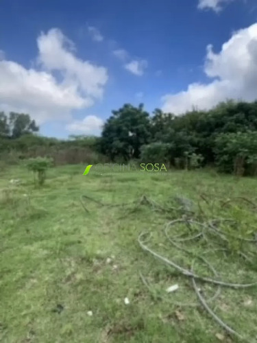 8000 Metros De Terreno. A Metros De Luis Batlle Berres