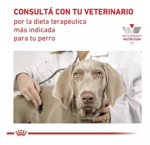royal canin recovery 195gr