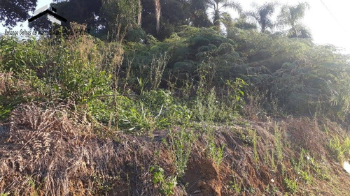 Imagem 9 de 15 de Ótimo Terreno Em Condomínio Fechado Em Caucaia Do Alto - Cotia - 294