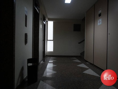 Comercial/industrial - Ref: 172124