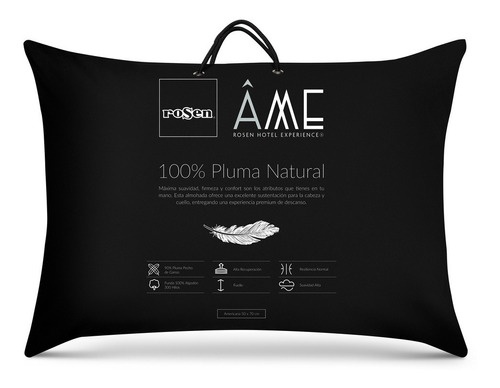 Rosen Almohada Pluma Natural Ame 90% Wgd Americana 50x70 Cm