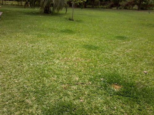Imagen 2 de 7 de Dueño Vende Terreno Con Casa En Empedrado Corrientes De 4000