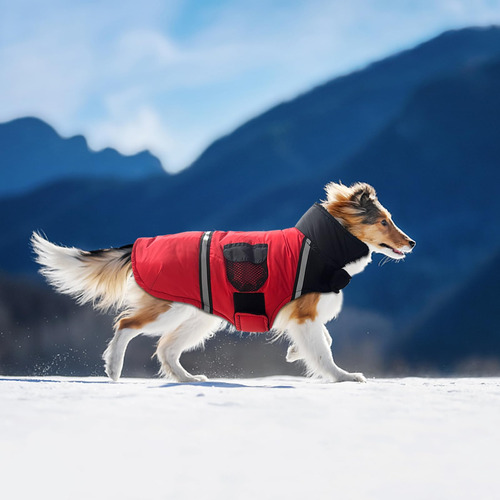Traje De Algodón Para Perro,abrigos Chamarras Para Perro