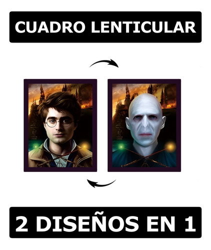 Cuadro 3d Lenticular Harry Y Voldemort