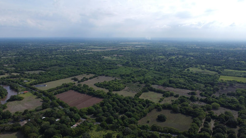 Terreno En Venta Sobre La Carretera Federal