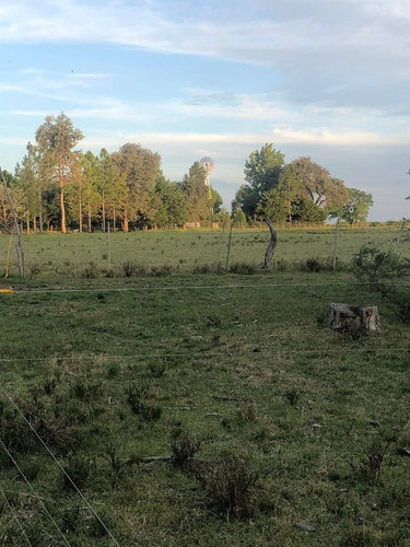 Imagen 10 de 10 de Campo - Gualeguaychu