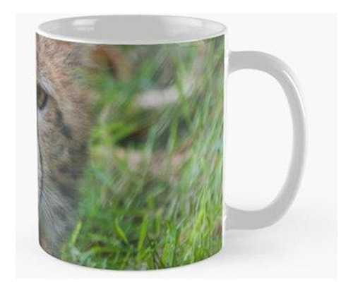 Taza Cachorro De Guepardo Con Lengua Afuera Calidad Premium