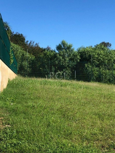 Terreno Em Vila Nova - El56353981