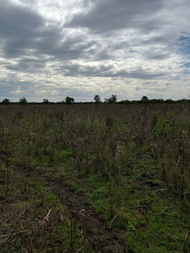 Excelente Campo De 40 Hectareas, Villa Paraancito, Acceso Vehicular, Luz, Ganadero O Plantacion