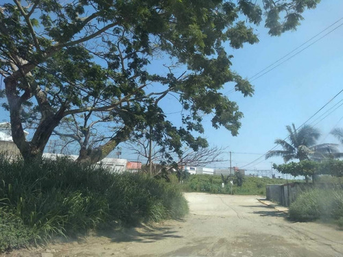 Imagen 8 de 10 de Se Vende Terreno Bien Ubicado En La Col Teresa Morales