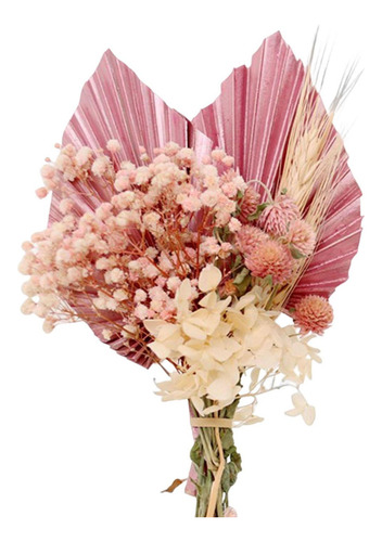Ramo De Hojas De Palma Secas Para Regalo, Flores Secas Para