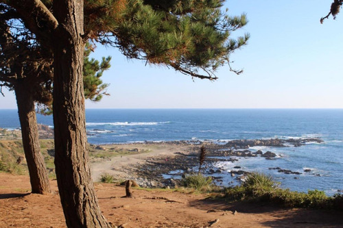 Cabañas Bosques Del Canelo . A Solo 100 Metros De Playa .