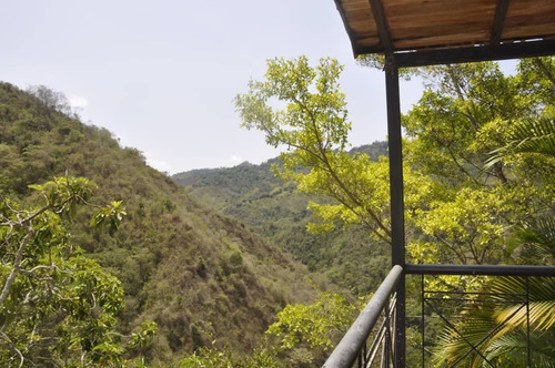 Lejos De La Ciudad ¡refugio De Paz Y Oportunidad De Negocio! Sabaneta El Hatillo Sp 24-24513