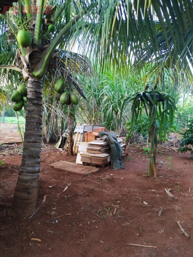 Imagem 16 de 22 de Chácaras_sítios_fazendas Para Venda - 13650.8059