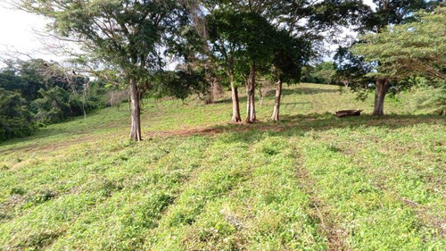 Finca En Yaracal, A Orilla De Carretera. Mas De 700 Has. Zona Élite.