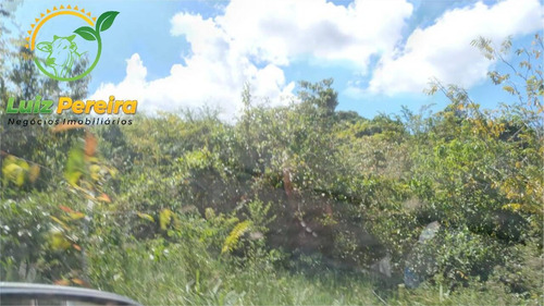 Imagem 2 de 11 de Fazenda À Venda Em Paragominas Pa - 7.000 Hectares - 2054