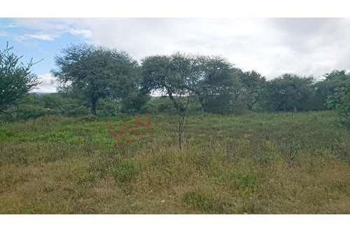 Imagen 19 de 25 de Venta Terreno 25 Mil M2 Cadereyta Queretaro Cerca De Peña De Bernal Tequisquiapan San Juan Del Rio Viñedos Quesos Planetario