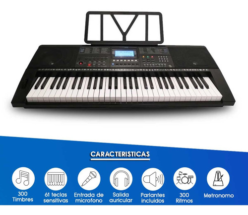 Imagen 2 de 10 de Teclado Órgano 61 Teclas 5 Octavas Atril Soporte Y Fuente