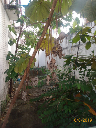 Imagem 16 de 29 de Prédio Comercial Para Alugar Na Cidade De Fortaleza-ce - L10016